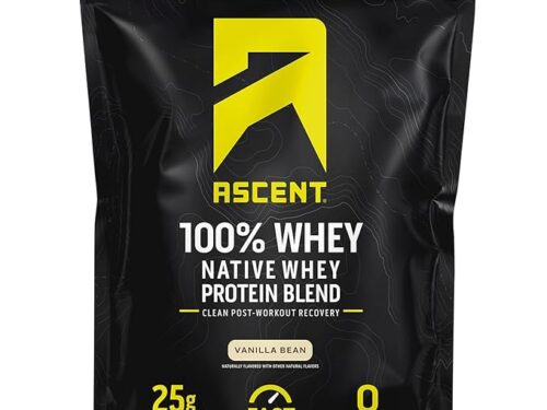 protein powder