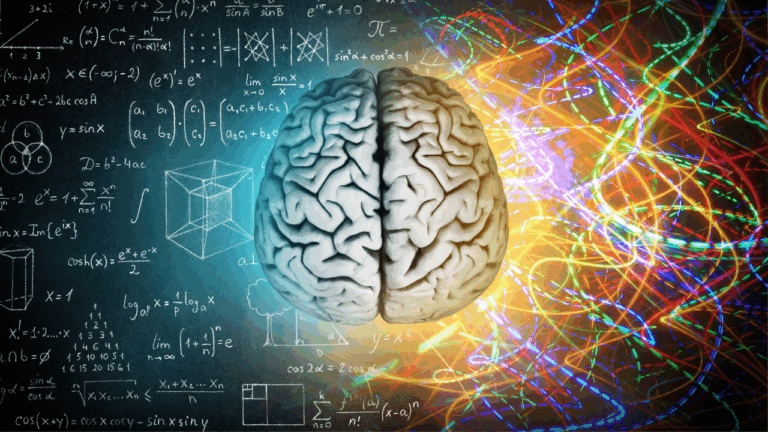 brain