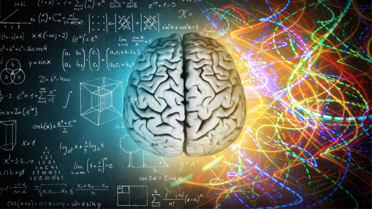 brain
